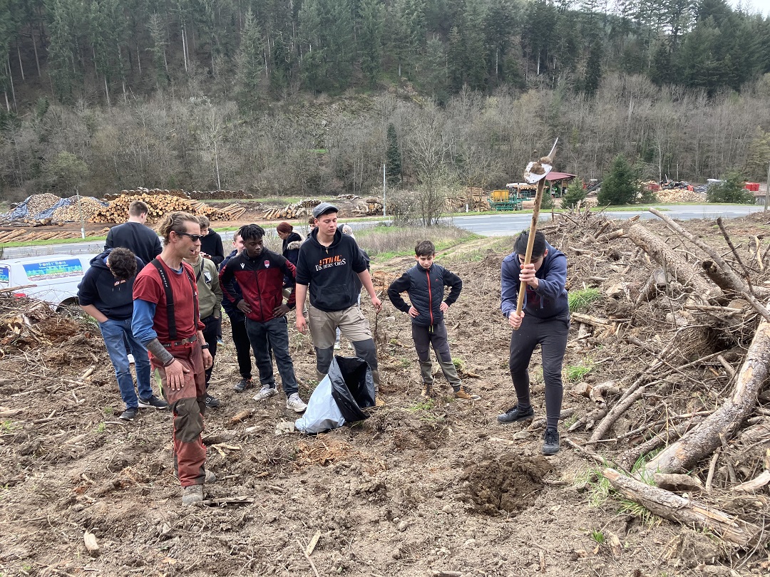 Chantier Sylviculture