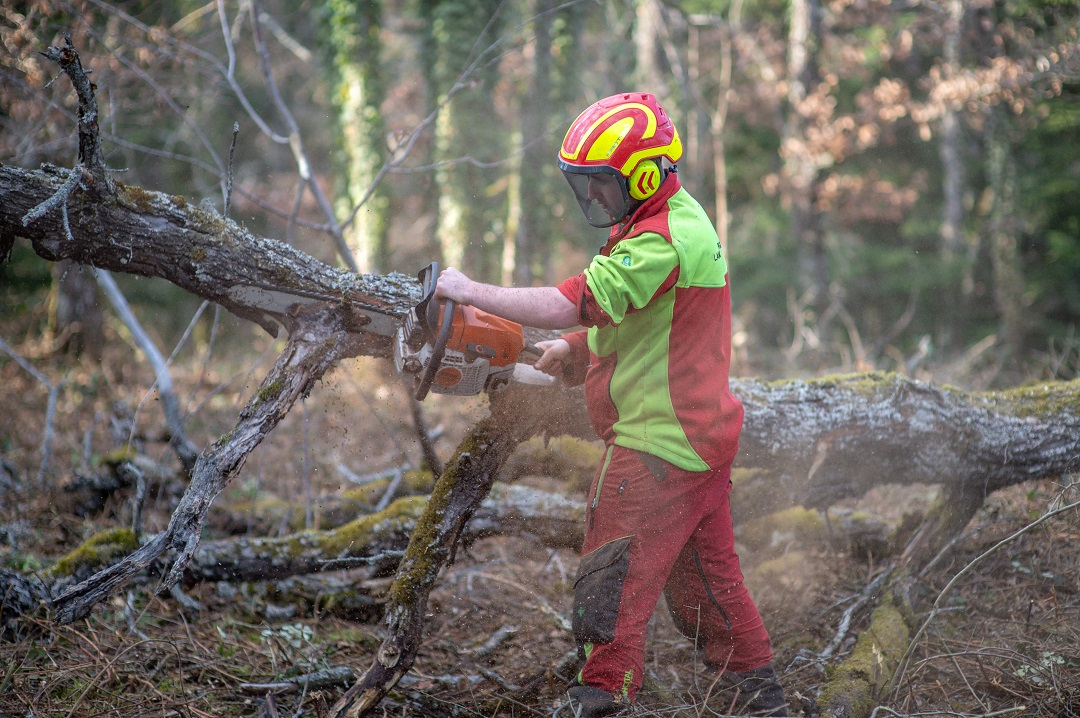 Un jeune en apprentisage en Bac Pro Forêt à la MFR de Lamure sur Azergues